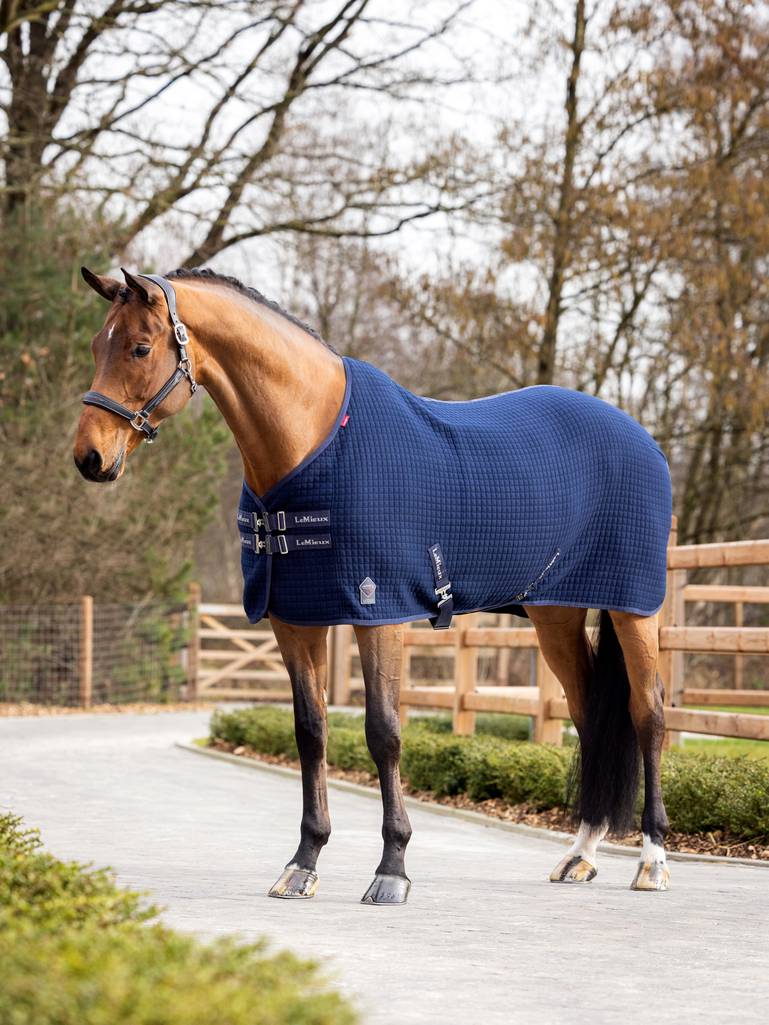 LeMieux Arika Clima-Tek Rug Navy