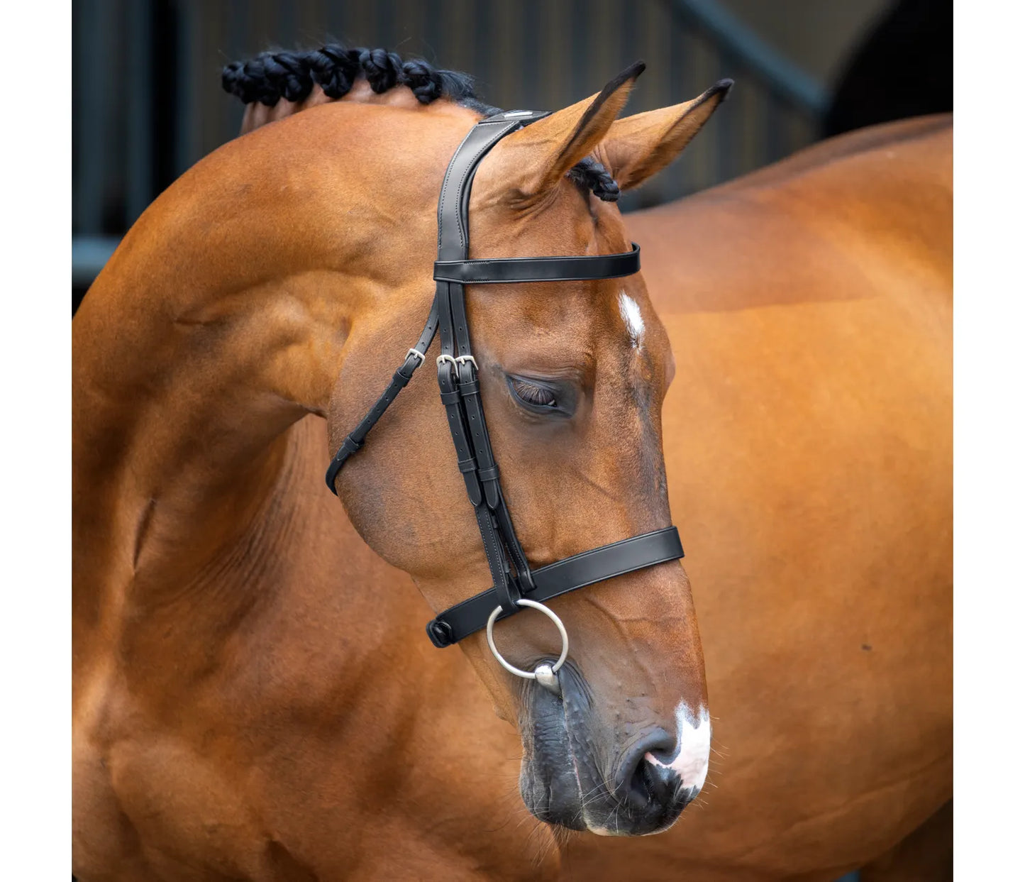 Shires Lusso Hunter Cavesson Bridle