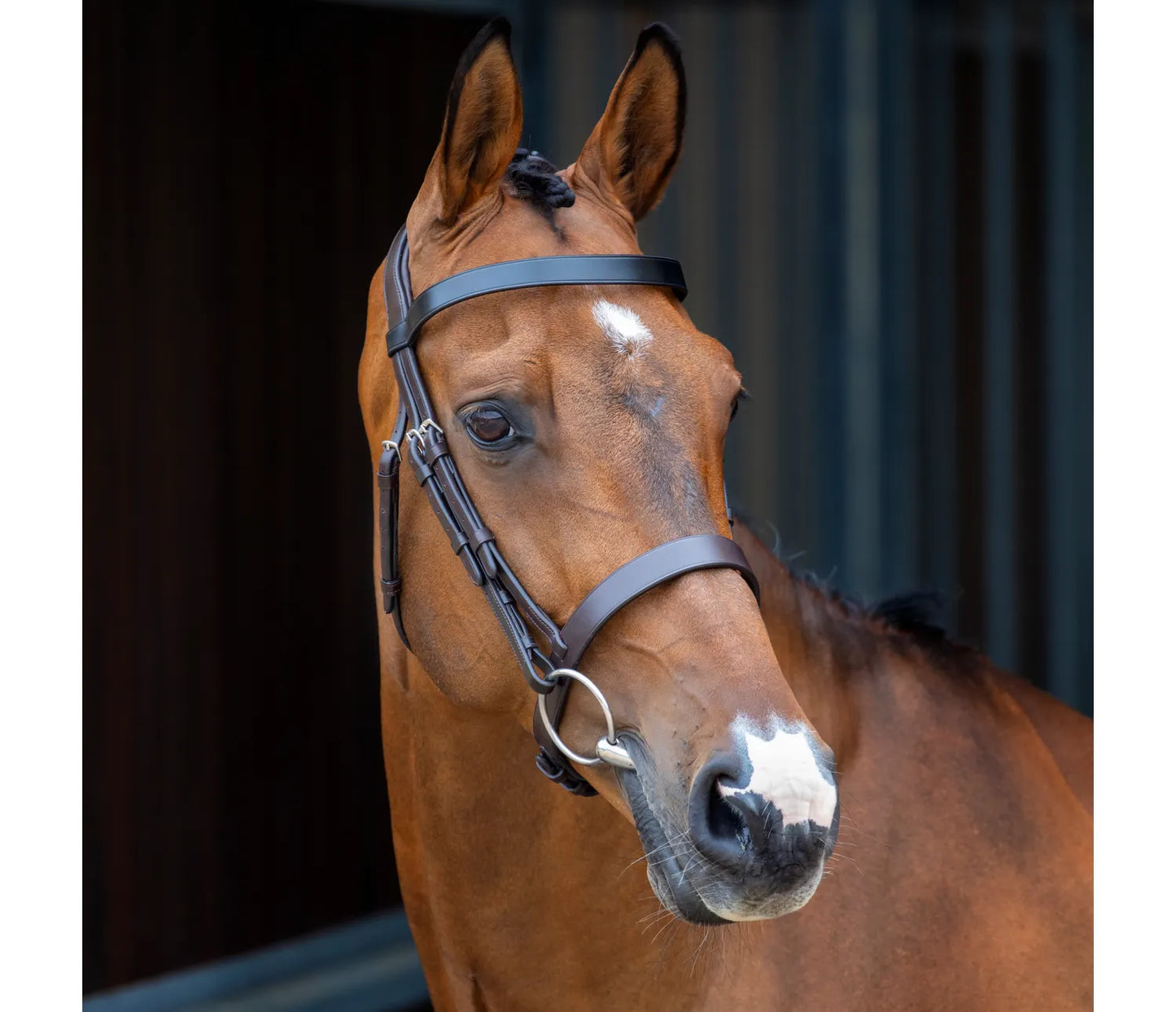 Shires Lusso Hunter Cavesson Bridle