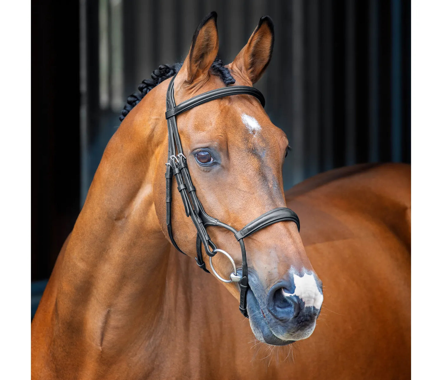 Shires Lusso Rolled Padded Cavesson Bridle