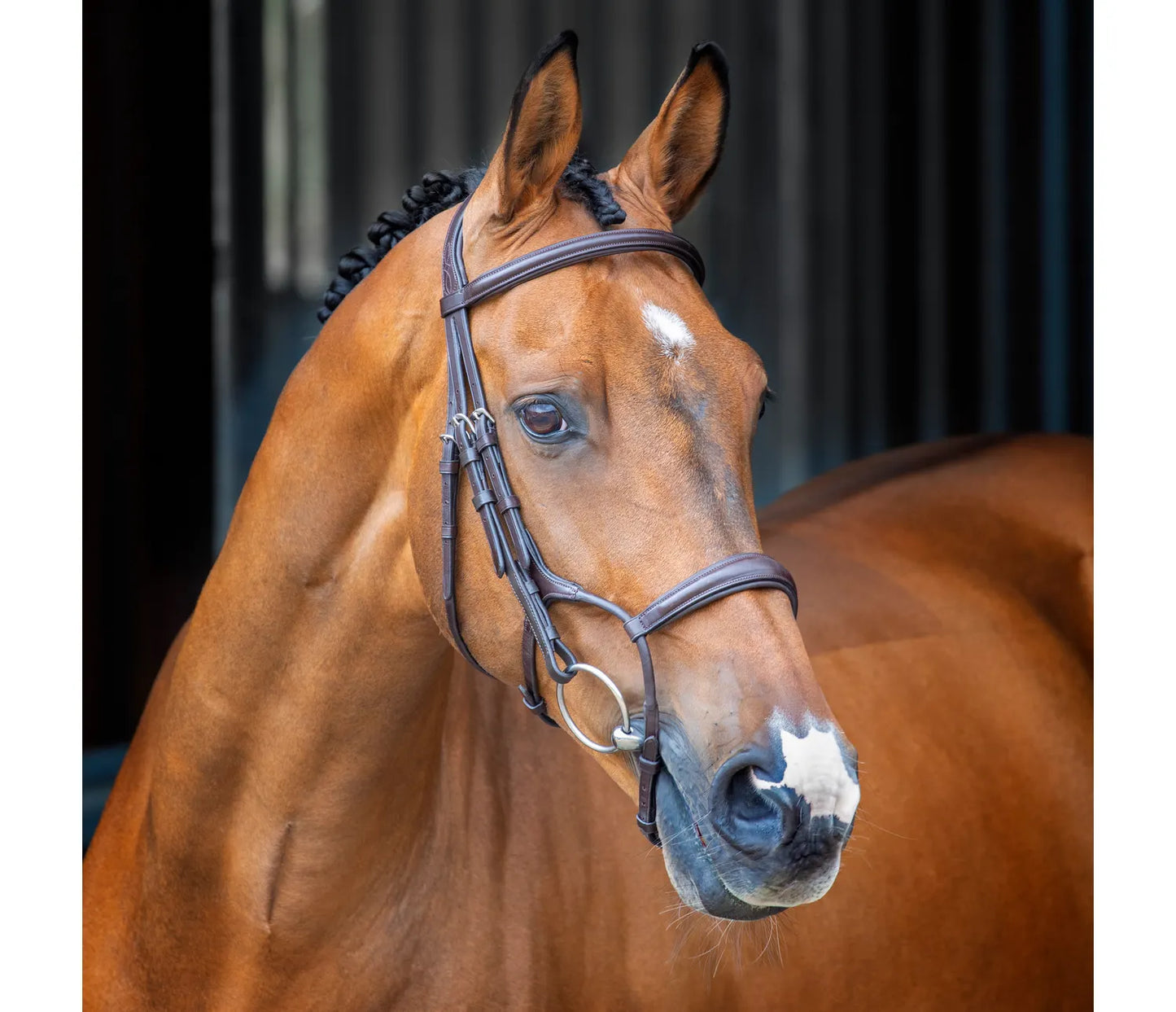 Shires Lusso Rolled Padded Cavesson Bridle