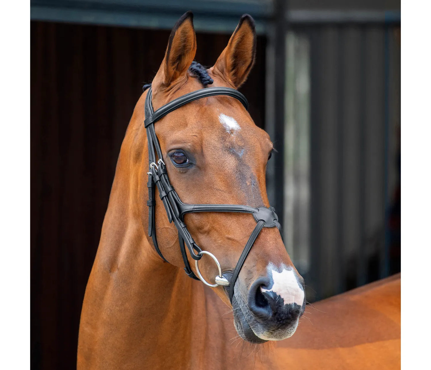 Shires Lusso Grackle Bridle