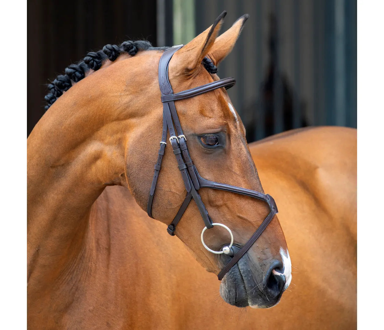 Shires Lusso Grackle Bridle