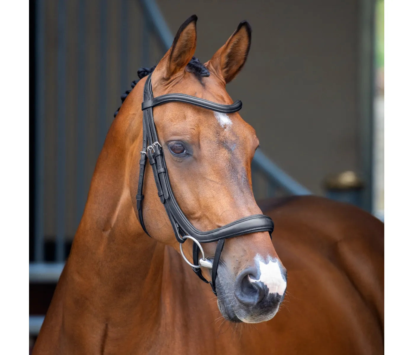 Shires Lusso Ergonomic Curved Flash Bridle