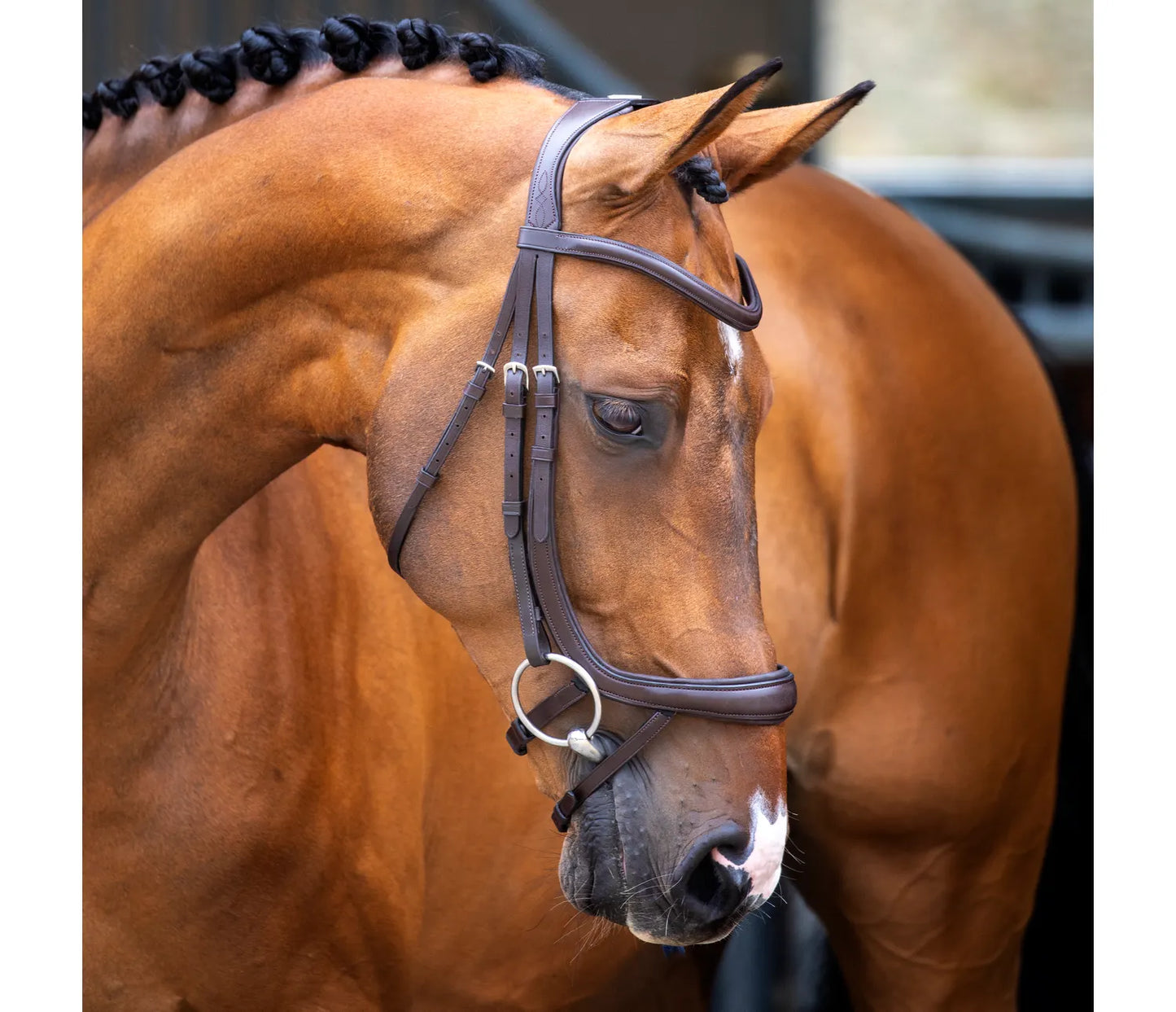 Shires Lusso Ergonomic Curved Flash Bridle