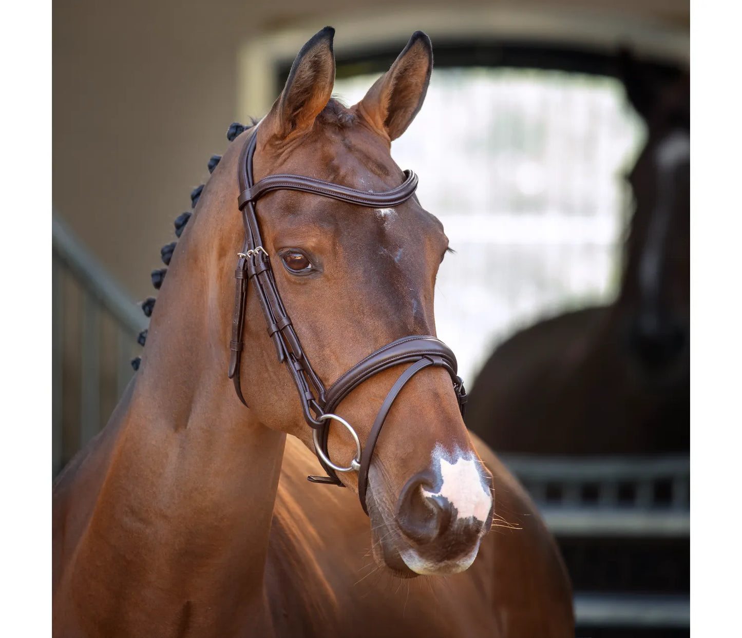 Shires Lusso Padded Raised Flash Bridle