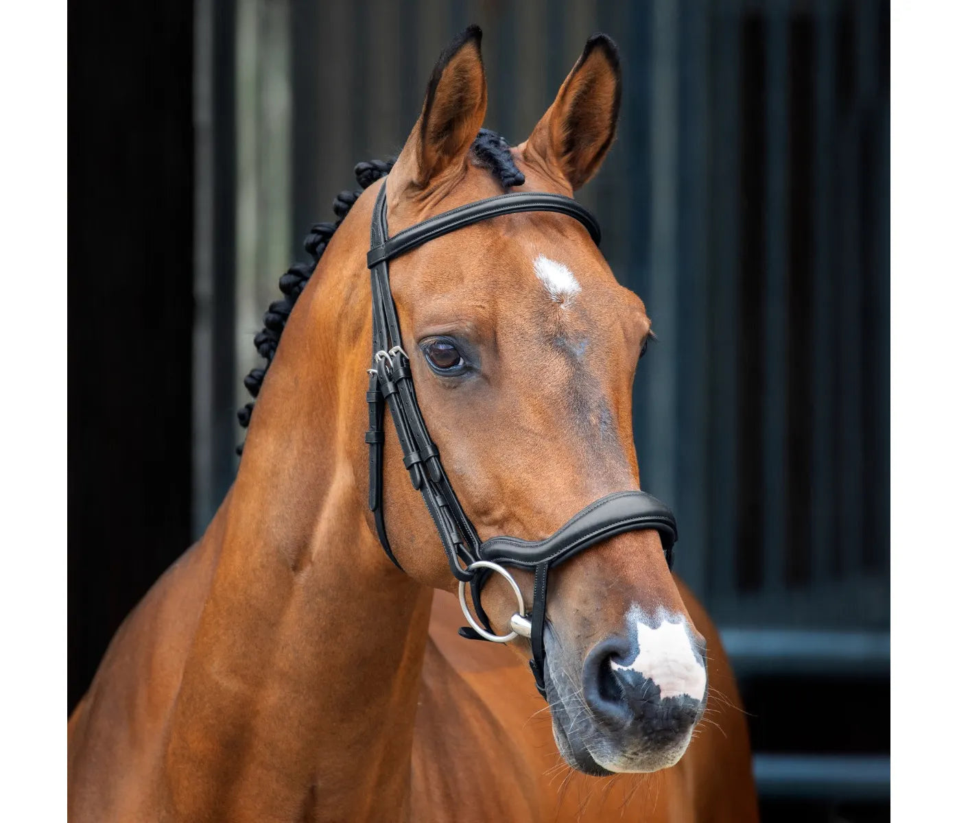 Shires Lusso Ergonomic Flash Bridle