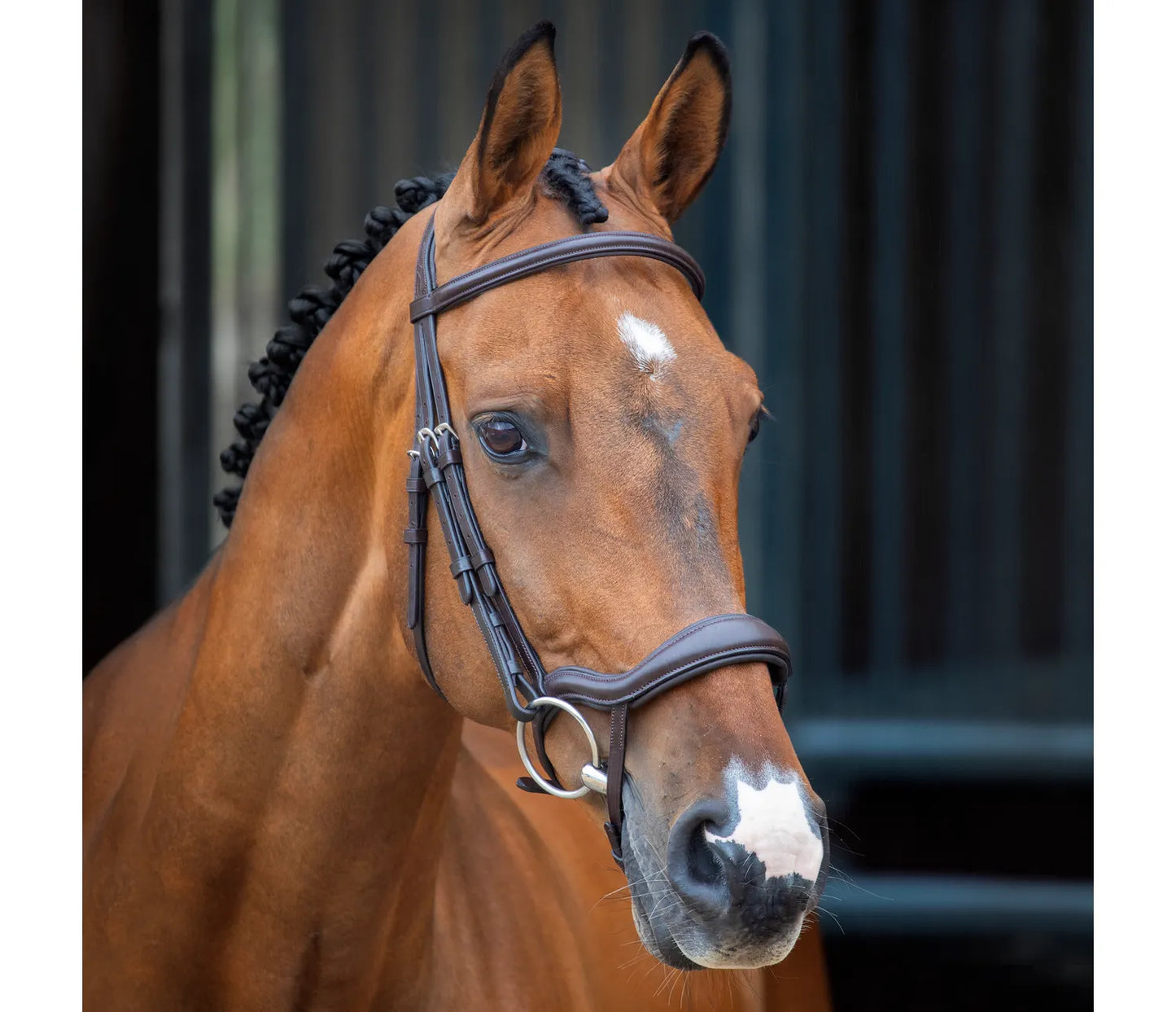 Shires Lusso Ergonomic Flash Bridle