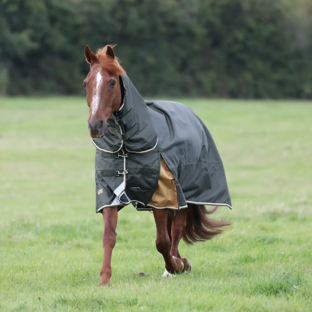 Shires Highlander Plus 50 Combo Turnout Rug Green