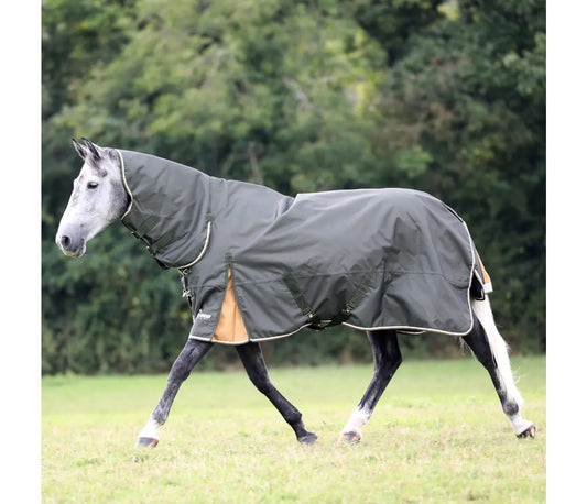 Shires Highlander Plus 50 Combo Turnout Rug Green