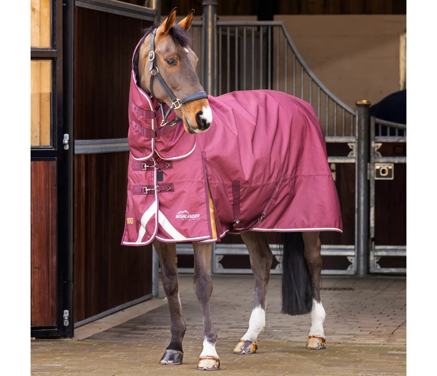 Shires Highlander Plus 100 Combo Turnout Rug Maroon