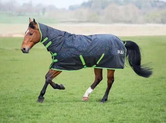 Bridleway Ontario Medium Combo Turnout Rug 220g