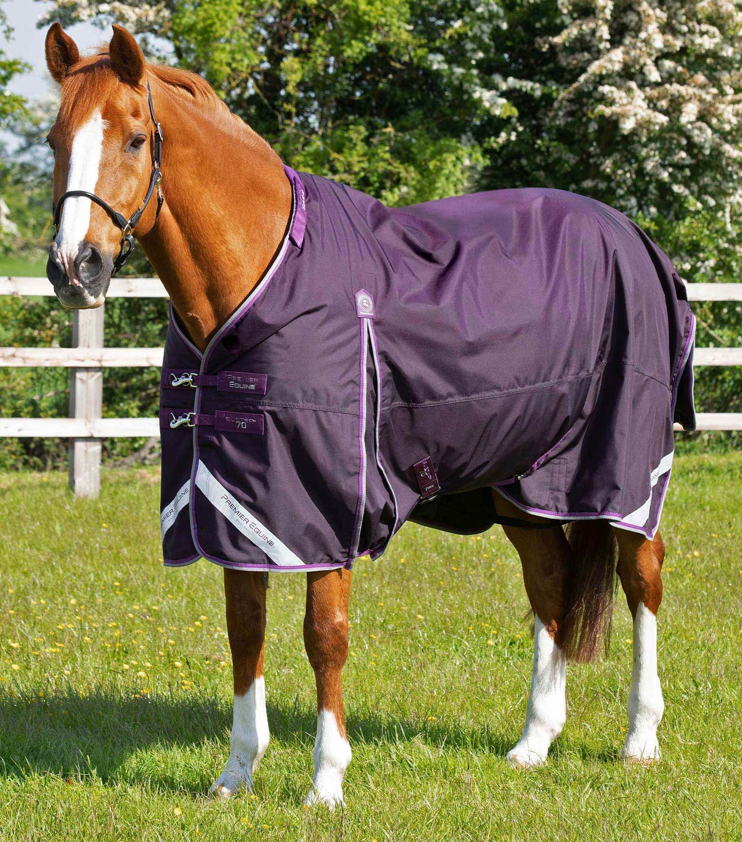 Premier Equine Buster 70g Turnout Rug with Classic Neck Cover