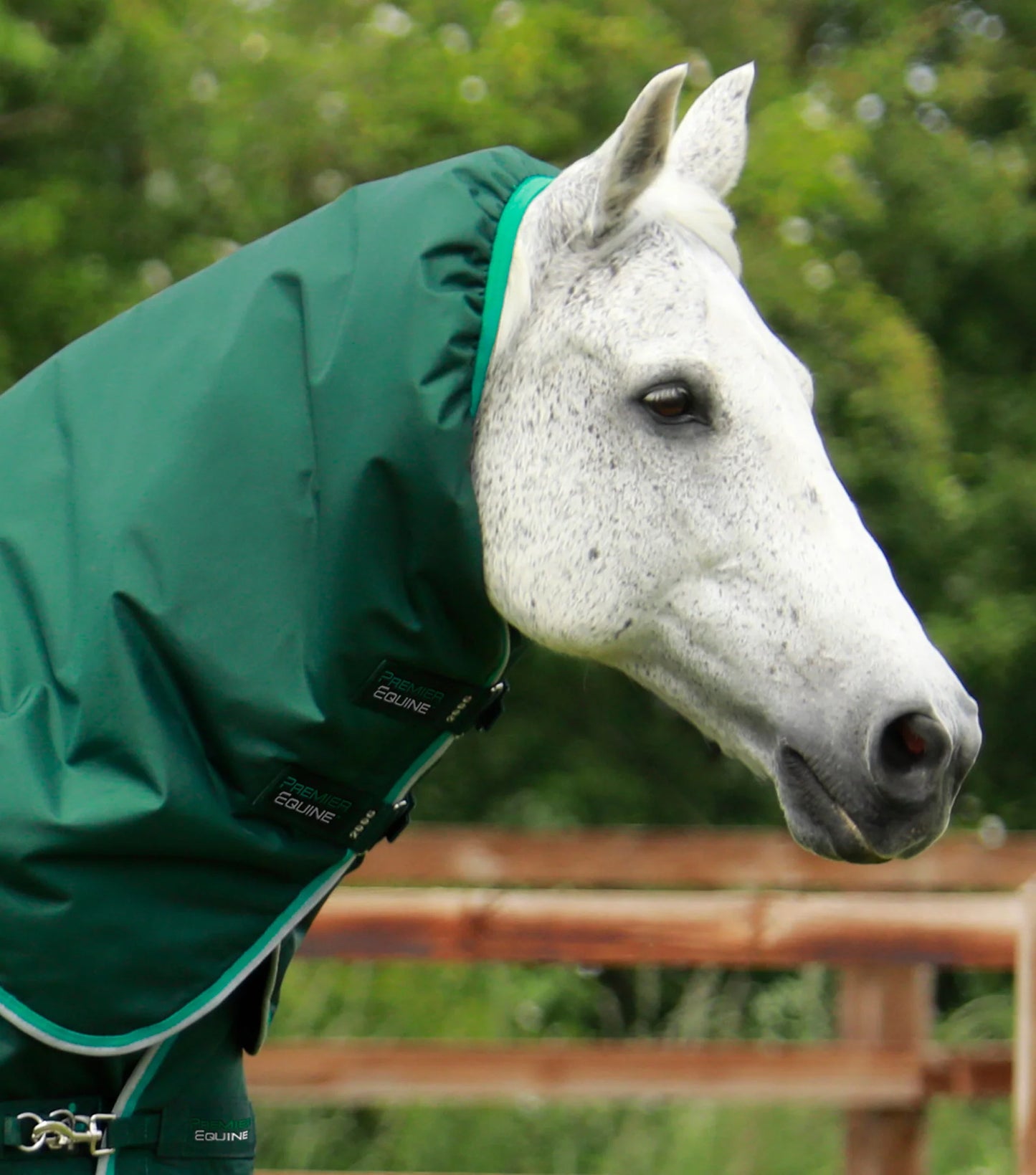 Premier Equine Buster 200g Turnout Rug with Snug-Fit Neck Cover Green