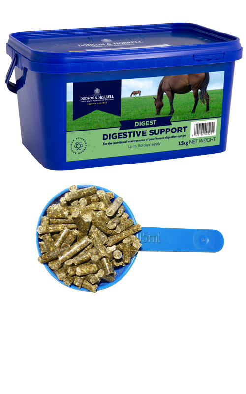 Dodson & Horrell Digestive Support 1.5kg