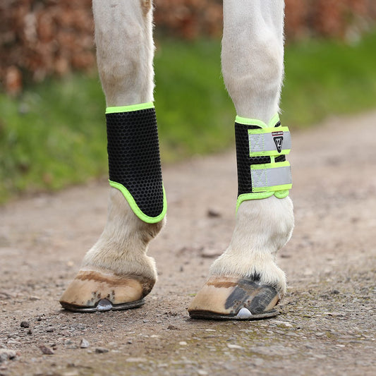 Equilibrium Tri-Zone Brushing Boots