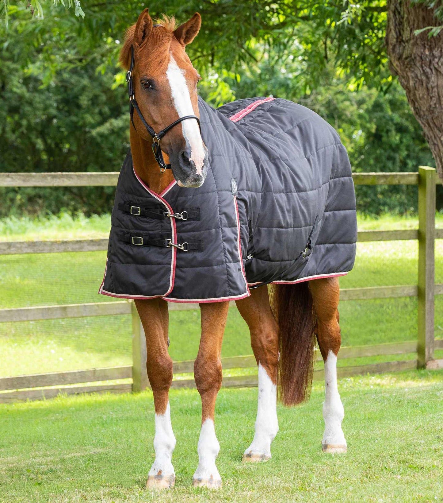 Premier Equine Garissa Stable Rug 100g Black