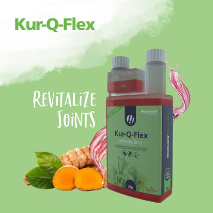 Hestevard Kur-Q-Flex Joint Supplement 1 Litre