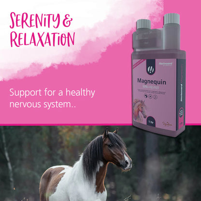 Hestevard Magnequin Calming Supplement 1 Litre