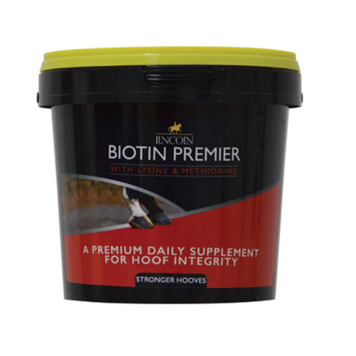 Lincoln Biotin Premier 600g