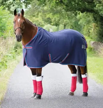 Bridleway Jersey Cooler Navy/Red/Blue