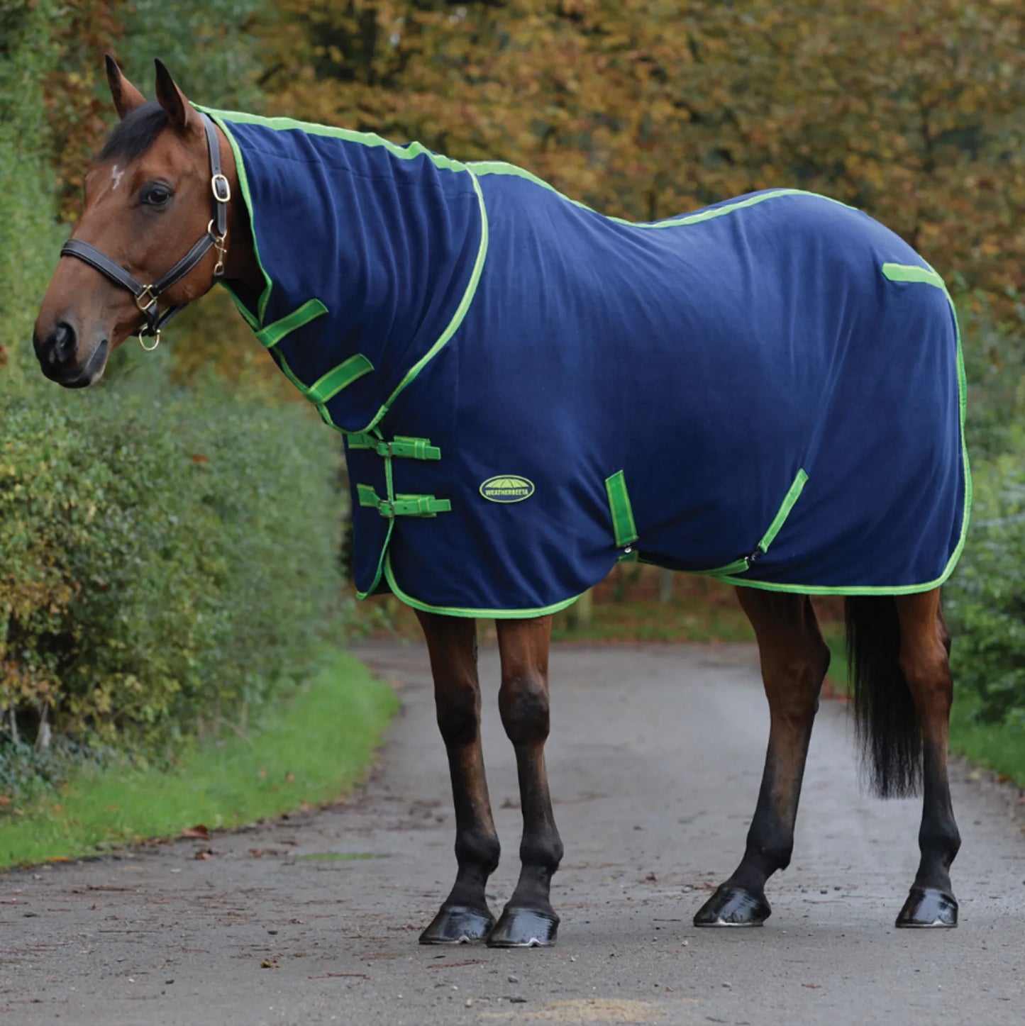 WeatherBeeta Fleece Cooler Combo Rug Navy/Lime