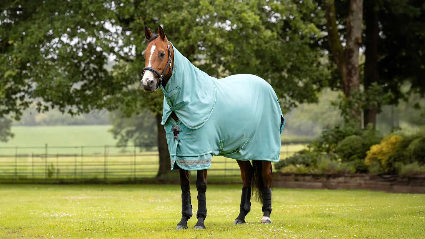 LeMieux Arika Ripstop 0G Turnout Rug Lagoon