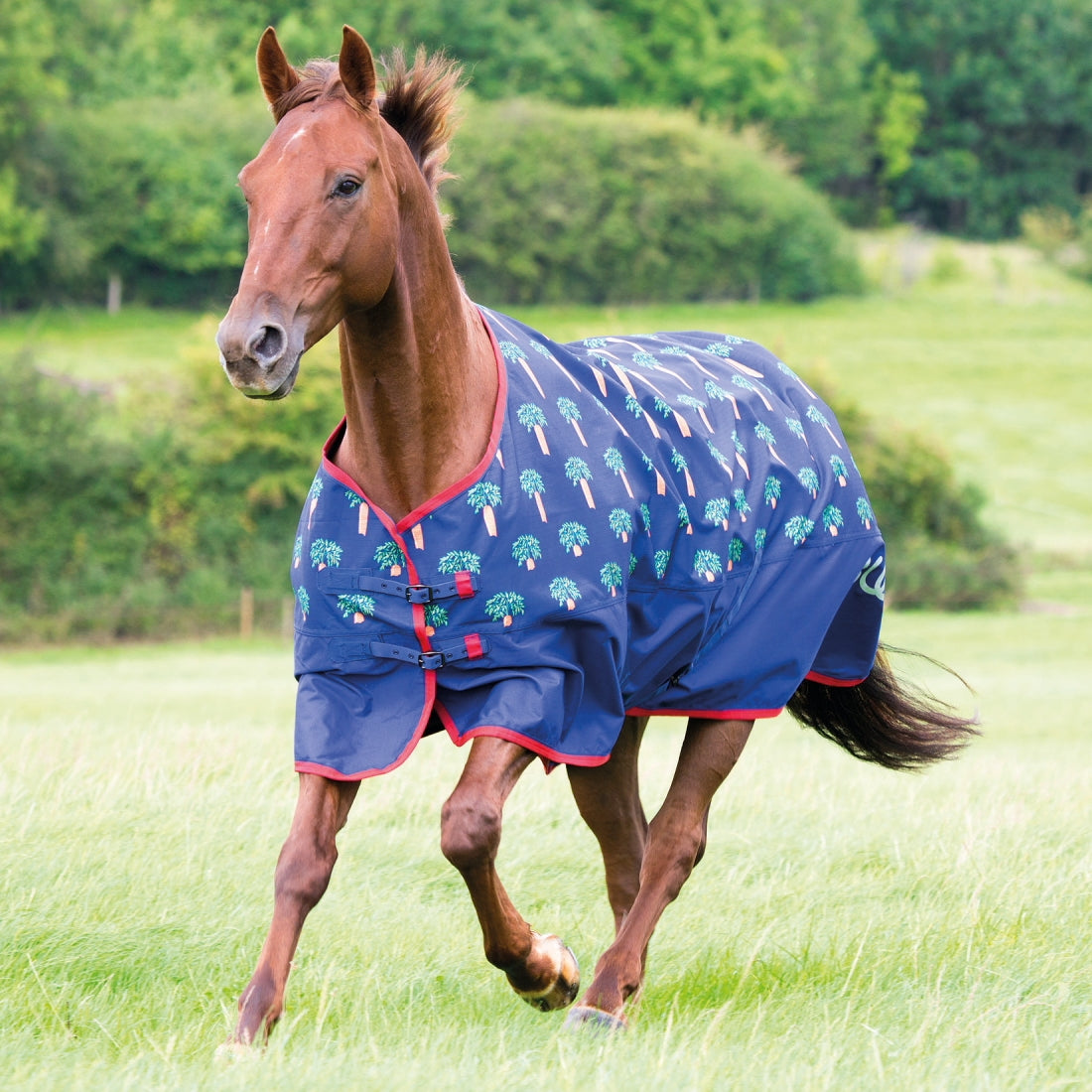 Bridleway Ontario Lightweight Turnout Rug Standard Neck