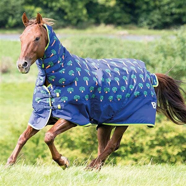 Bridleway Ontario 100g Combo Turnout Rug Carrot Print 6ft 9