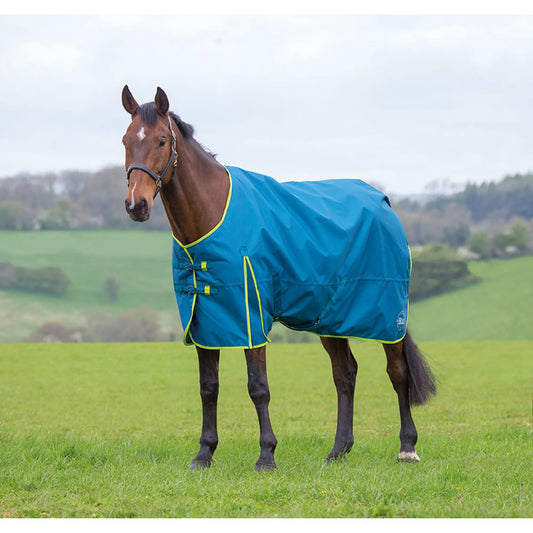 Bridleway Ontario 100g Turnout Rug Teal/Lime