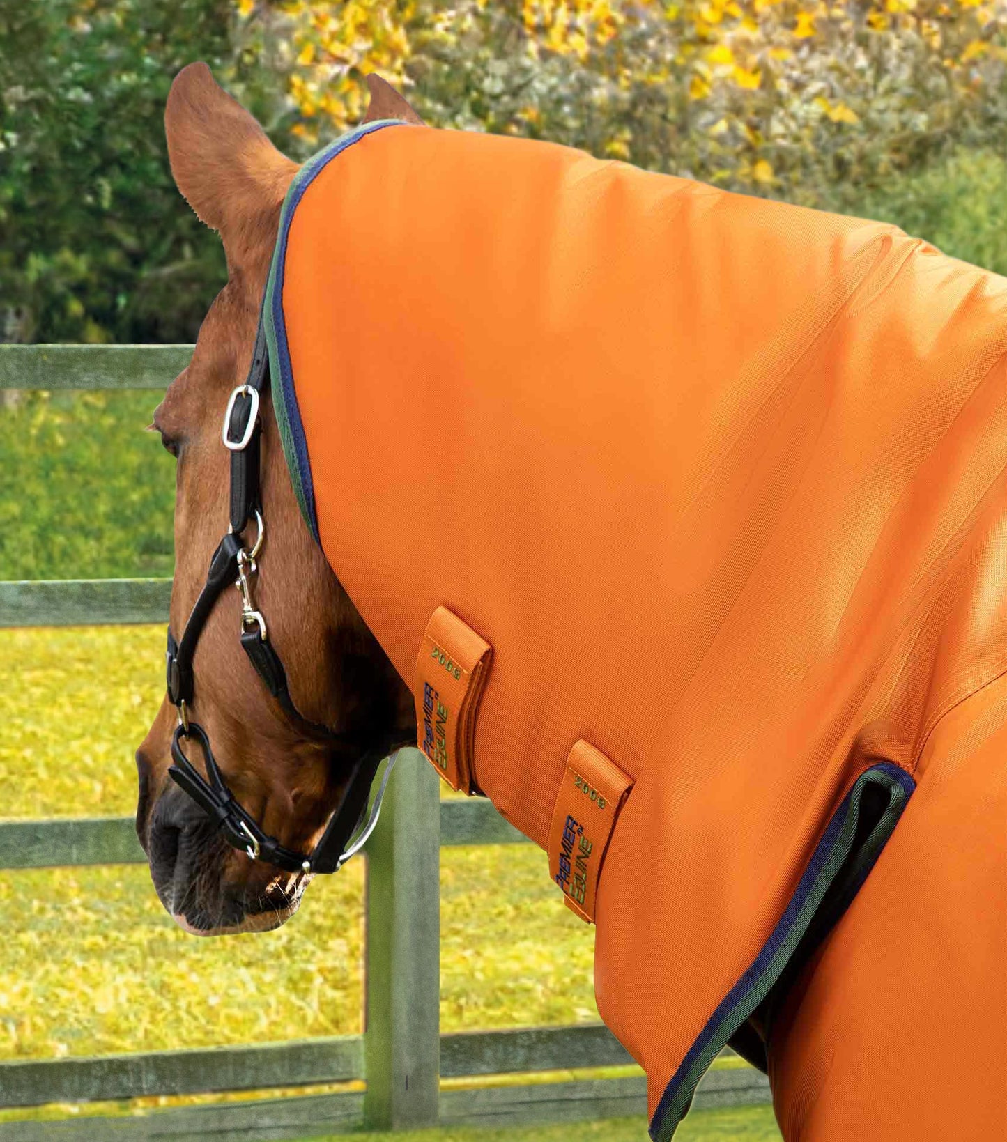 Premier Equine Buster Storm 400g Combo Turnout Rug with Classic Neck Burnt Orange