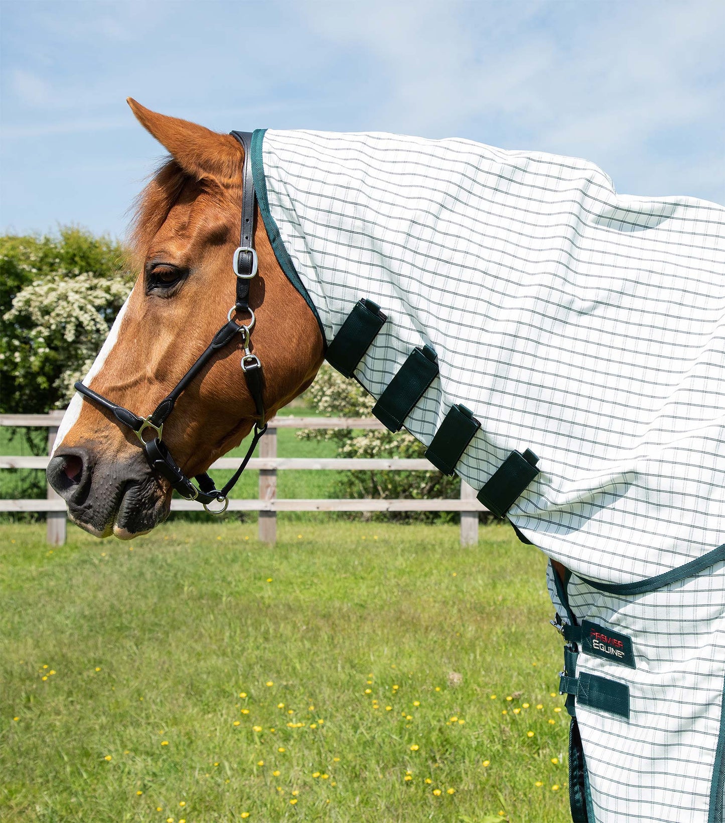 Premier Equine Combo Cotton Sheet Green Check