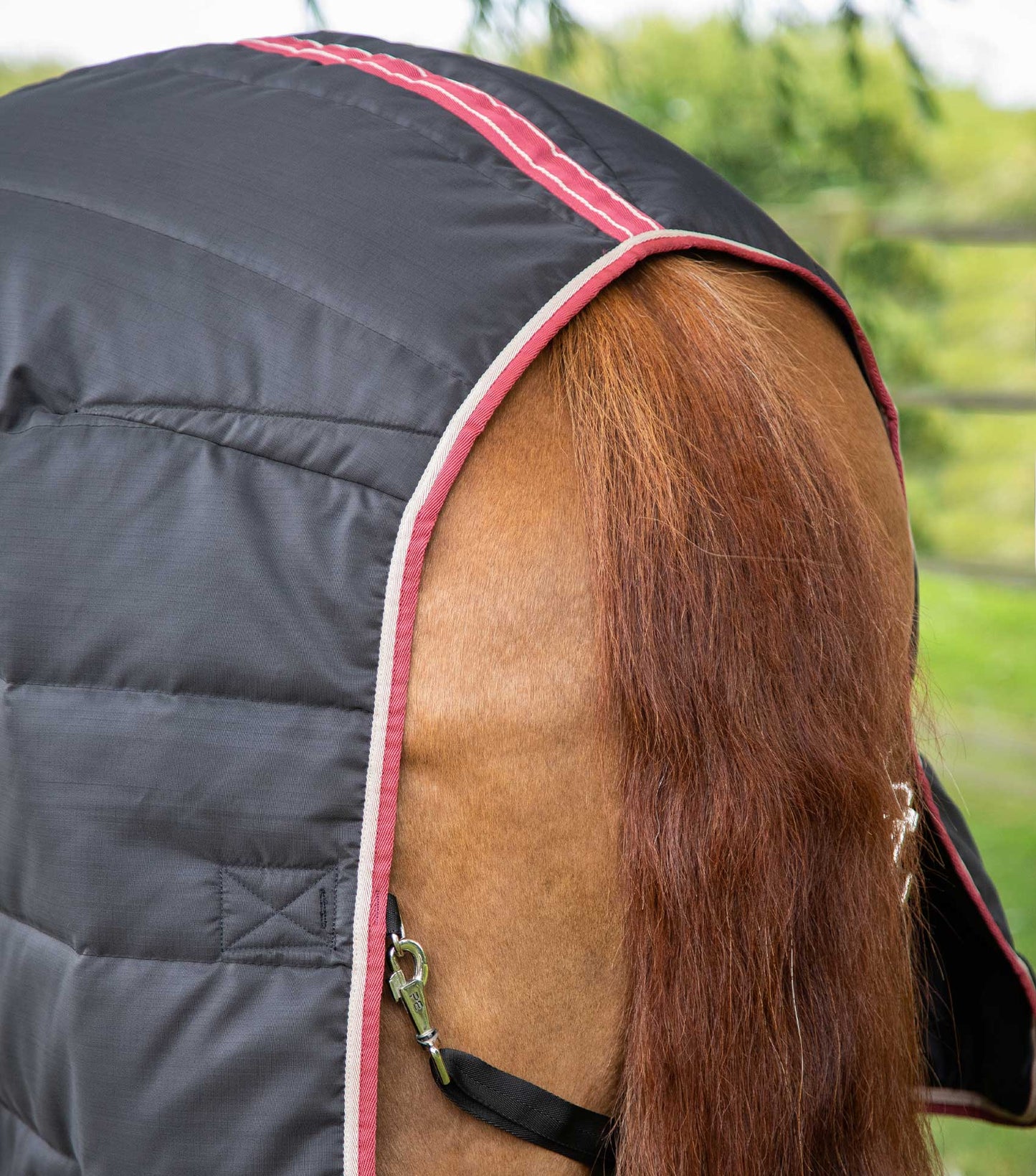 Premier Equine Garissa Stable Rug 100g Black