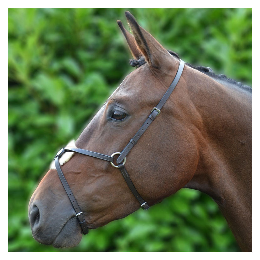 Hy Equestrian Mexican Grackle Nose Band