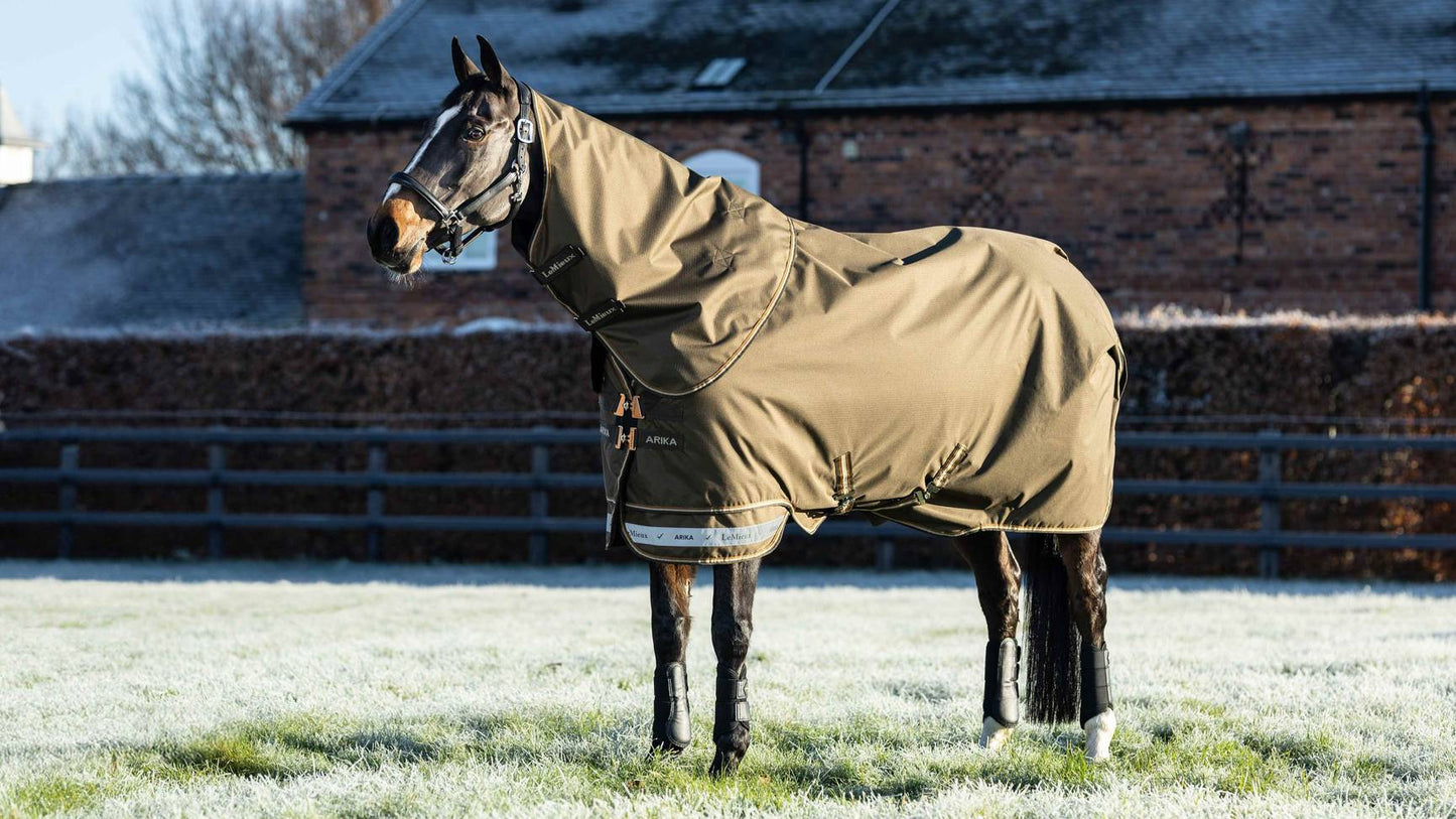 LeMieux Arika Ripstop 200g Turnout Rug Alpine