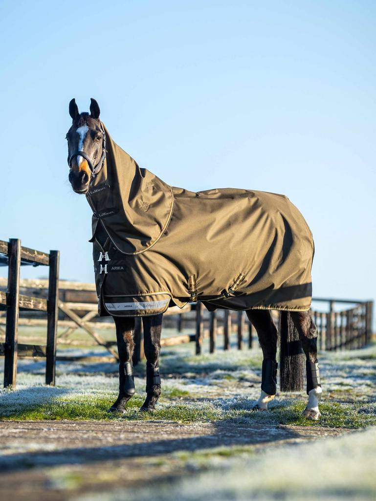 LeMieux Arika Ripstop 100g Turnout Rug Alpine