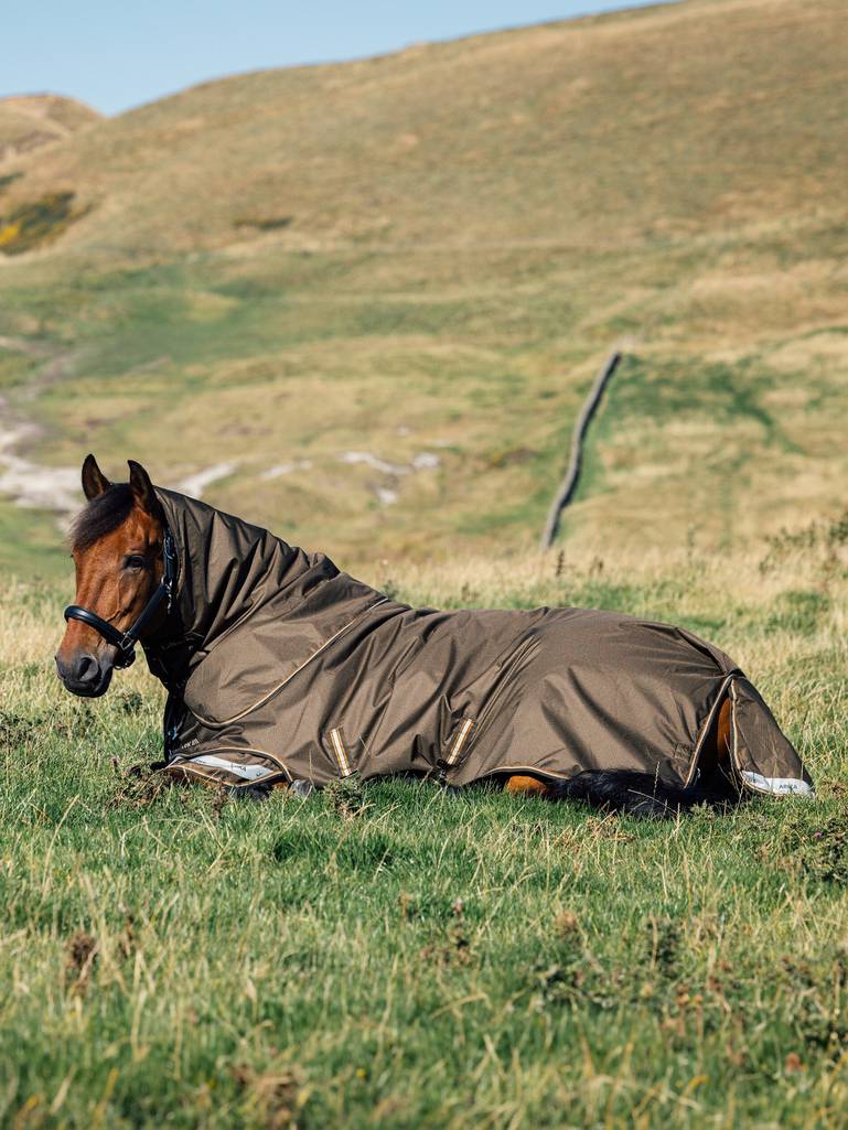 LeMieux Arika Ripstop 100g Turnout Rug Alpine