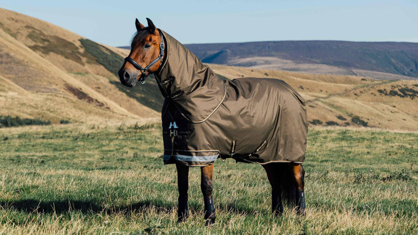 LeMieux Arika Ripstop 100g Turnout Rug Alpine