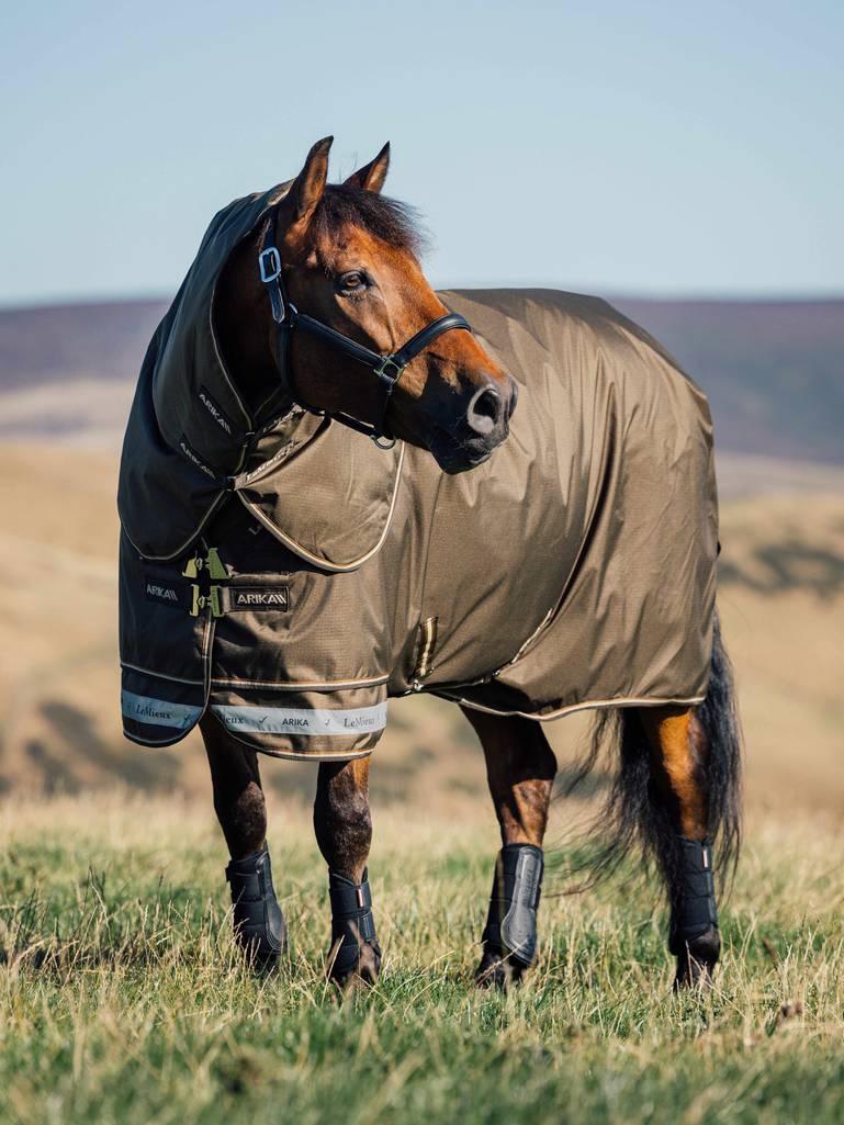 LeMieux Arika Ripstop 200g Turnout Rug Alpine