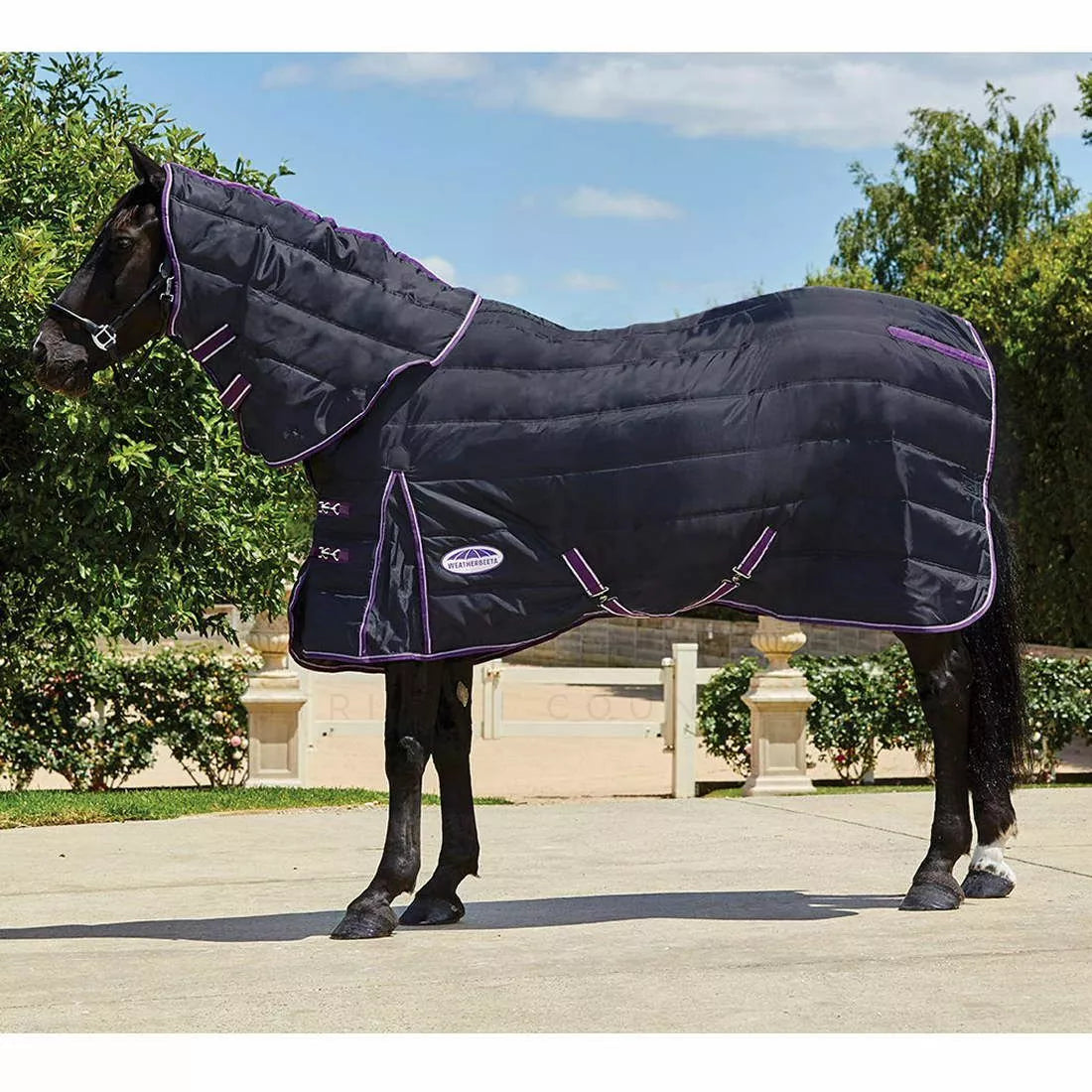 WeatherBeeta ComFiTec 600D Channel Quilt Detach-a-Neck Medium Stable Rug Black/Purple 5ft 6