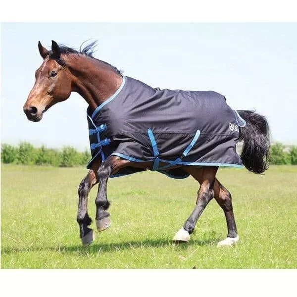 Bridleway Ontario Medium Turnout Rug Standard Neck 220g Black/Blue