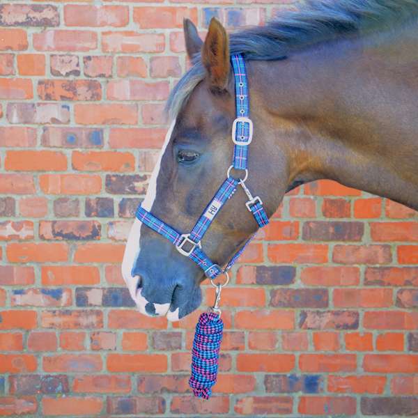 Hy Equestrian Tartan Head Collar With Lead Rope